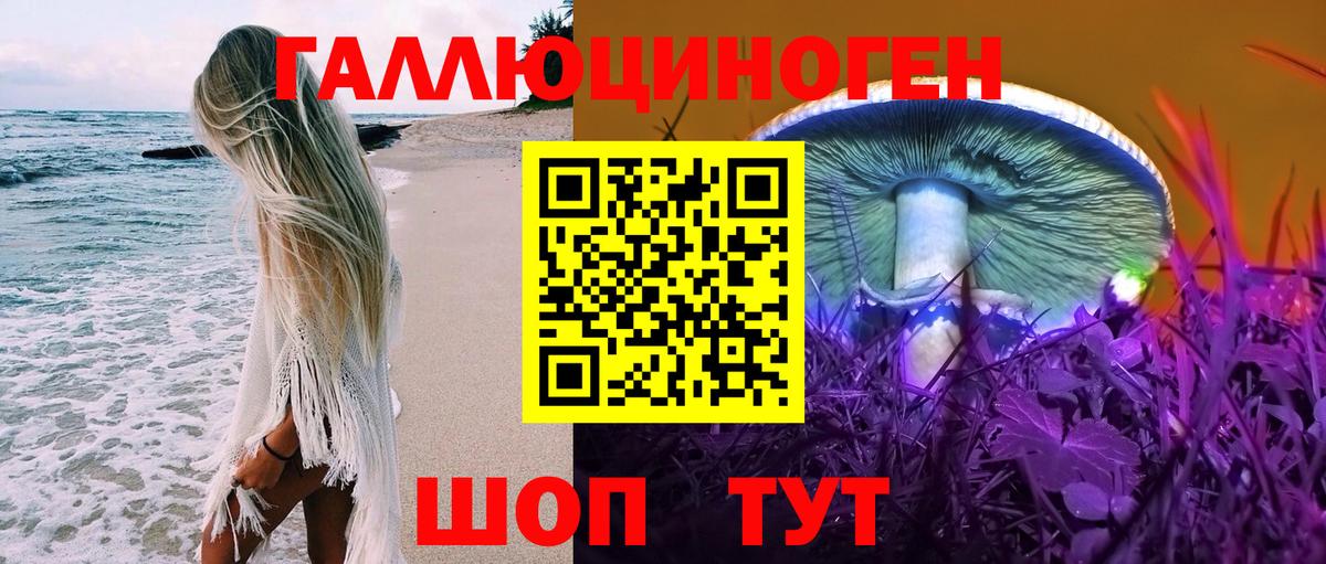 Домодедово  Галлюциногенные грибы прущие грибы  Галлюциногенные грибы мицелий  Вход с VPN 