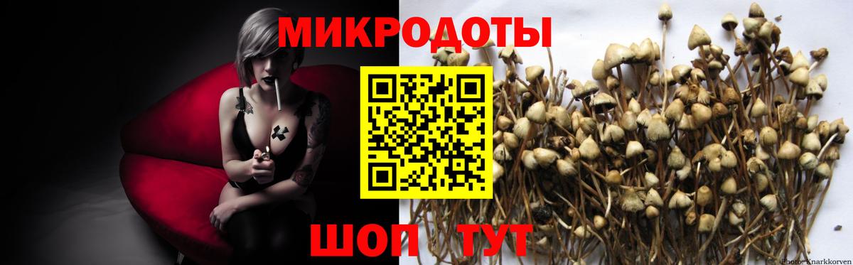 Галлюциногенные грибы Magic Shrooms Домодедово